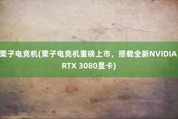 栗子电竞机(栗子电竞机重磅上市，搭载全新NVIDIA RTX 3080显卡)